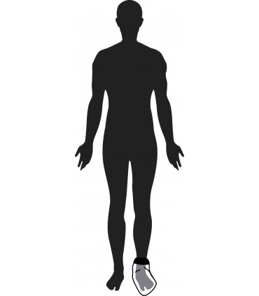 Limbo adulto para pie